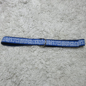 Douglas Paquette blue‎ belt